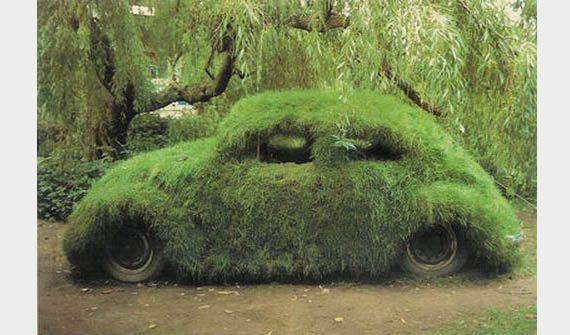 green-moss-car-cm.jpg