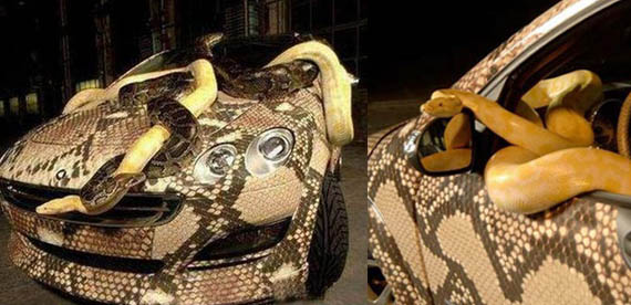 snake car