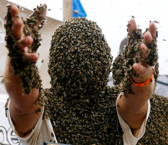 how-to-survive-swarm-of-bees.jpg