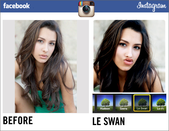 facebook instagram le swan