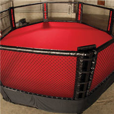throwdown-professional-fight-cage
