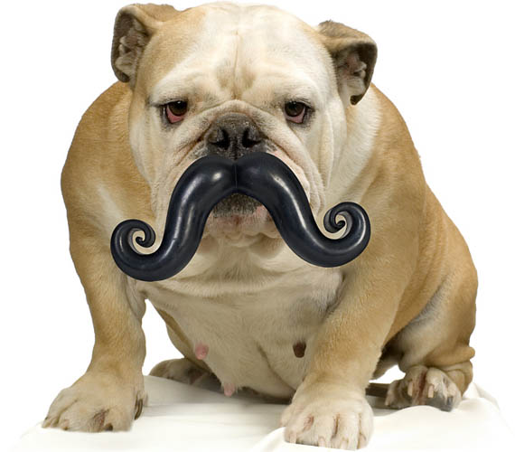 Humunga-Stache-Mustache-Dog-Chew-Toy