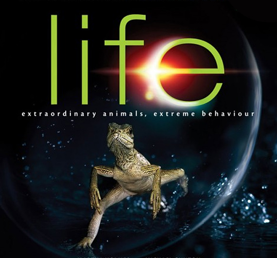life-discovery-channel