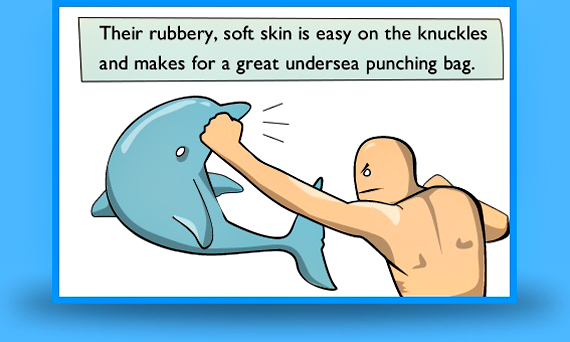 punch-dolphin
