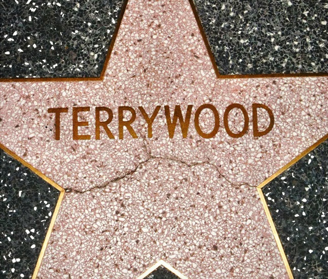 Terrywood-1