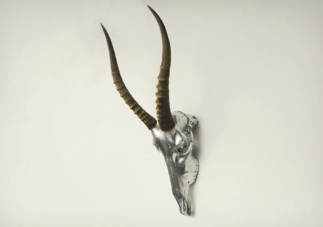 Stephan-Alexandr-Painted-Animal-Skulls-2