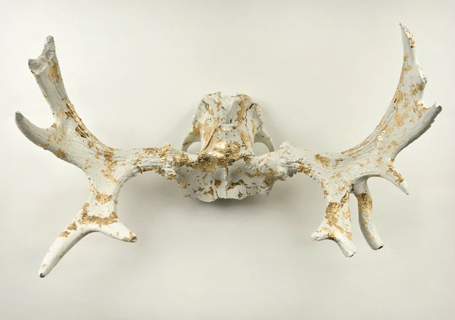 Stephan-Alexandr-Painted-Animal-Skulls-6