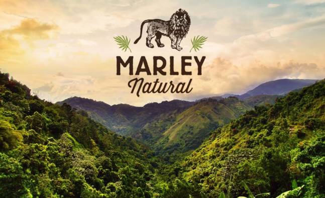 Bob Marley Cannabis Products