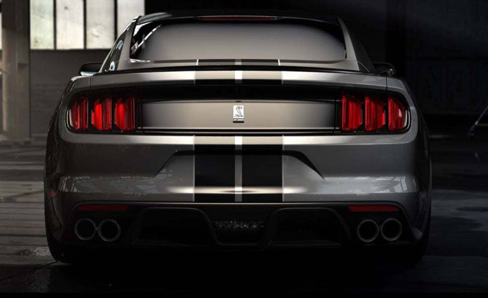 shelby6