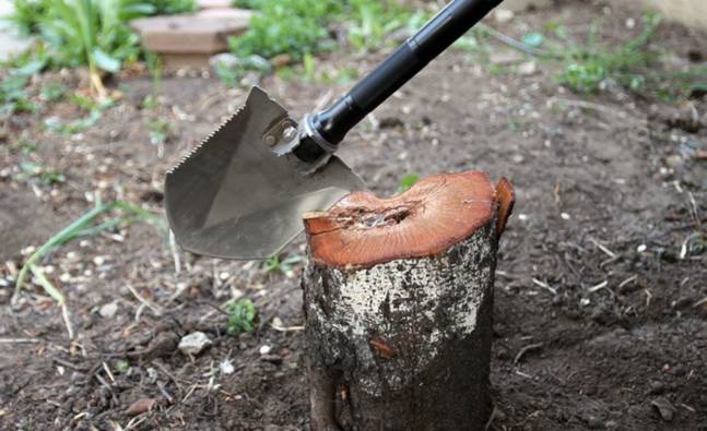 The Multi-Purpose Outdoor Tool Built Into A Shovel