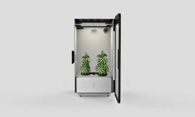 The “Plug N’ Plant” Box That Grows Weed