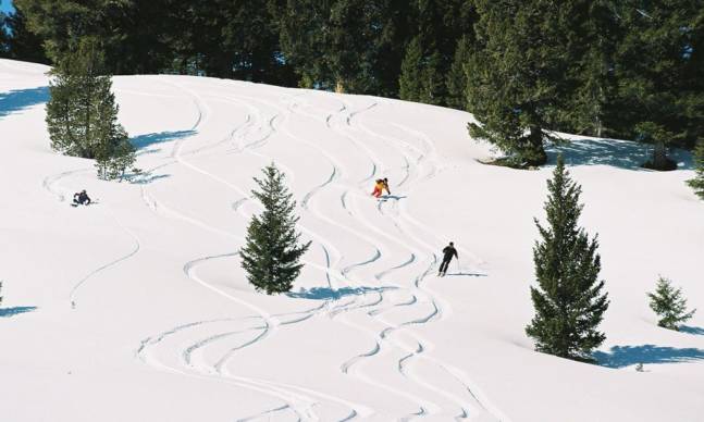Own Soldier Mountain Ski Resort