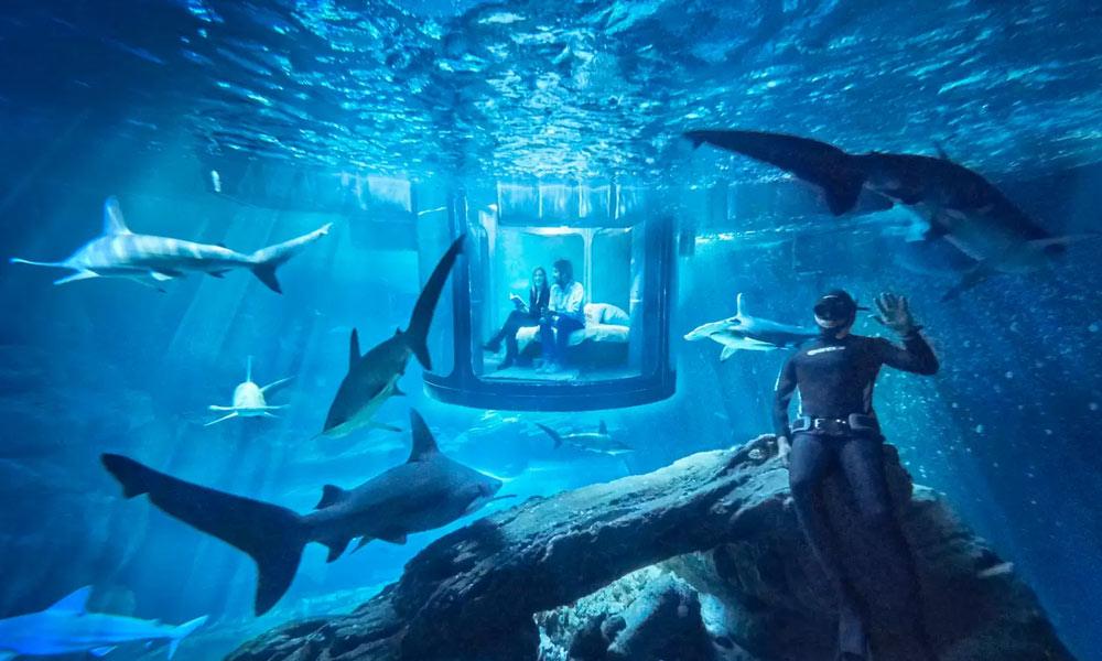 Stay at an Airbnb Under Water and Surrounded by Sharks