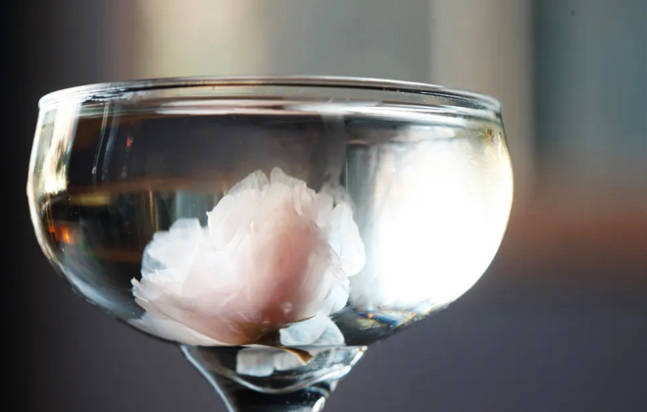 Sakura-Martini