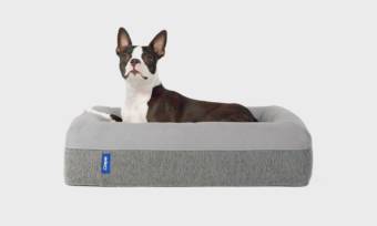 Casper-Dog-Bed