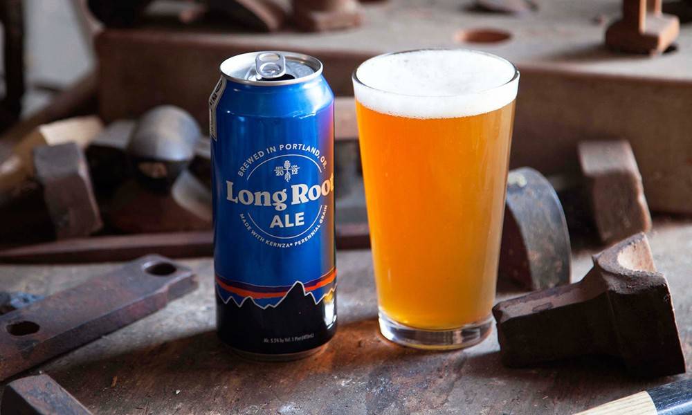 patagonia-provisions-long-root-ale