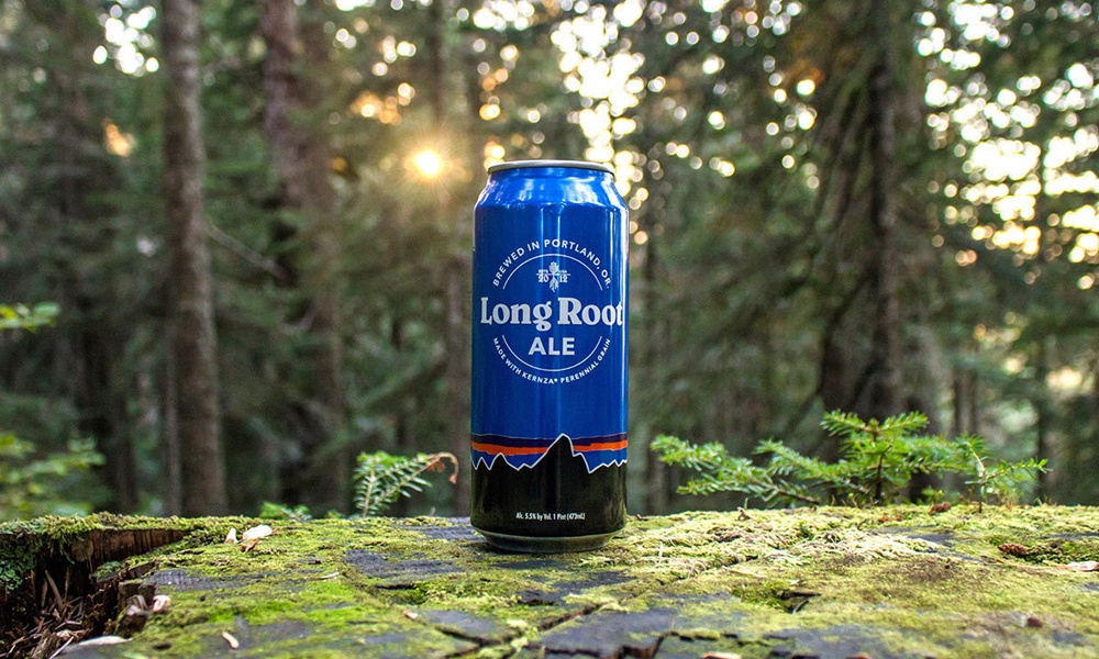 patagonia-provisions-long-root-ale-3