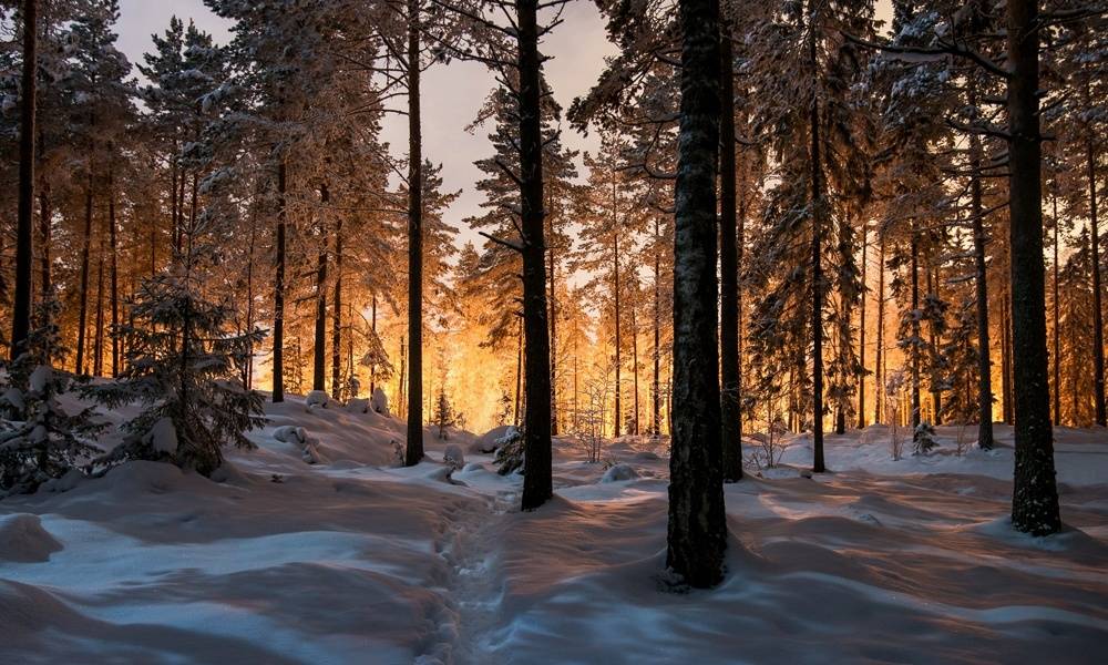 winter solstice images