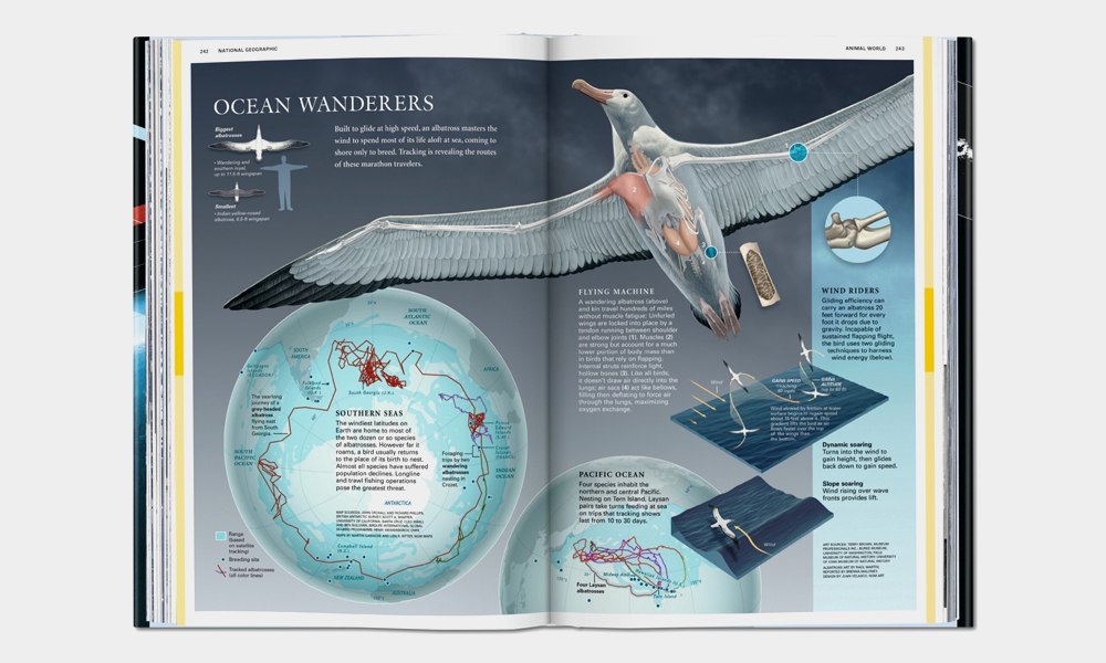 national-geographic-infographics-4