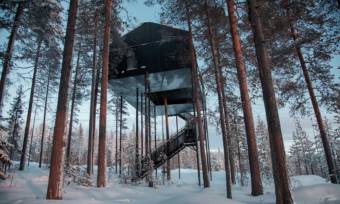 7th-Room-Swedish-Treehouse