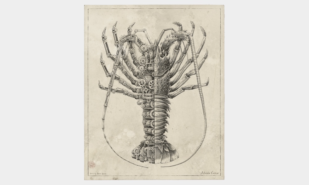Mechanical-Crustaceans-by-Steeven-Salvat-4