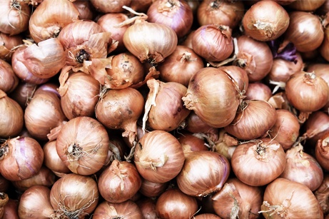 Google-is-Lying-about-Onions-and-Blaming-Me-for-It