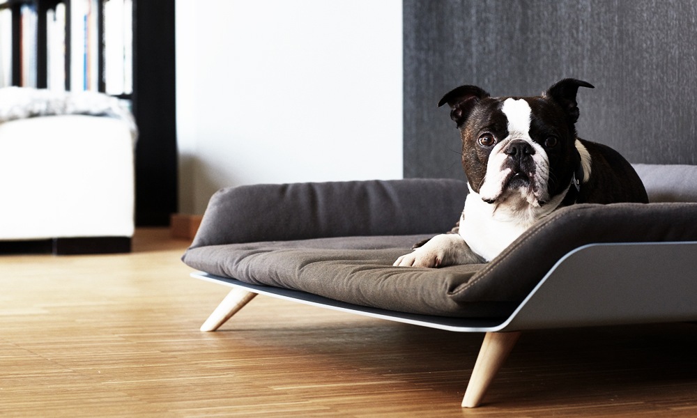 LettoDog-Bed-2