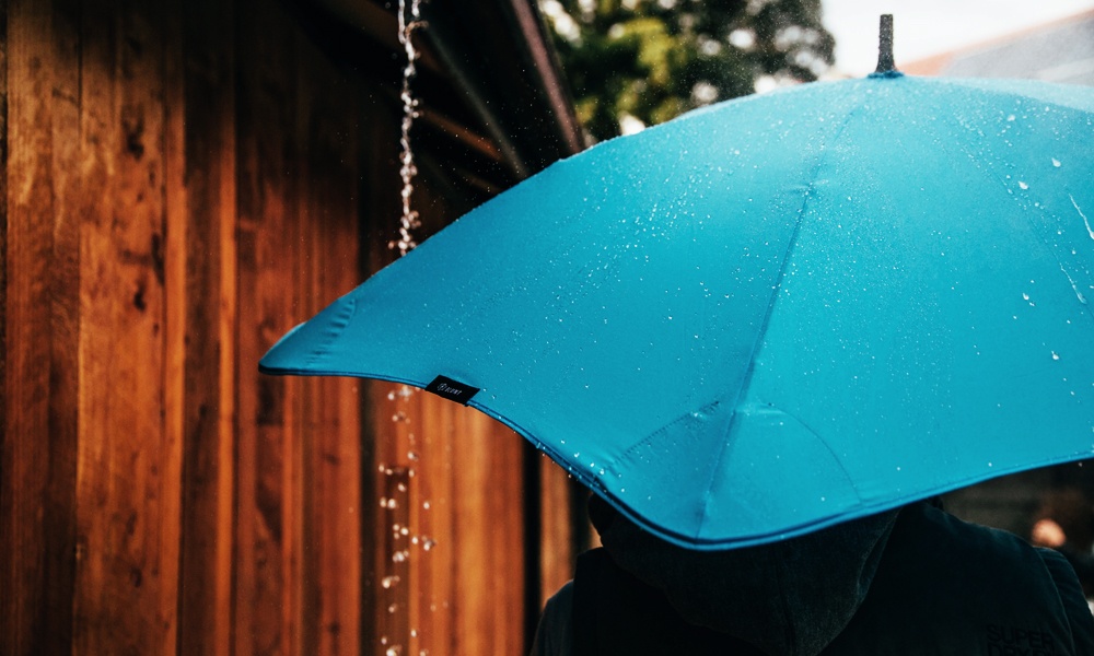 The Best Umbrellas to Keep You Dry 
