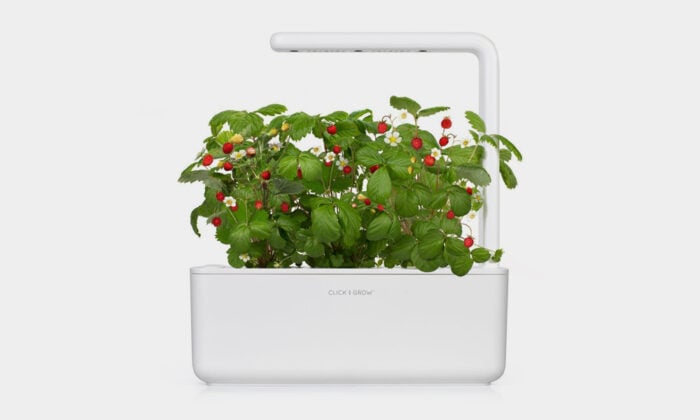 Gift Pick: Smart Garden 3