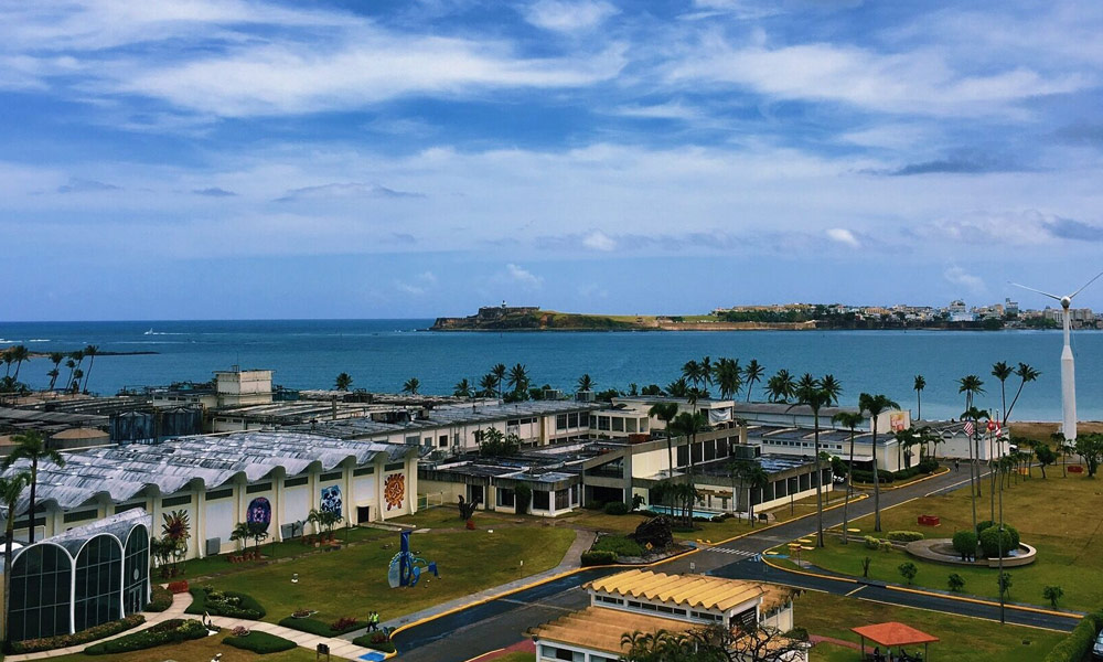 10 Reasons to Visit Puerto Rico Right Now
