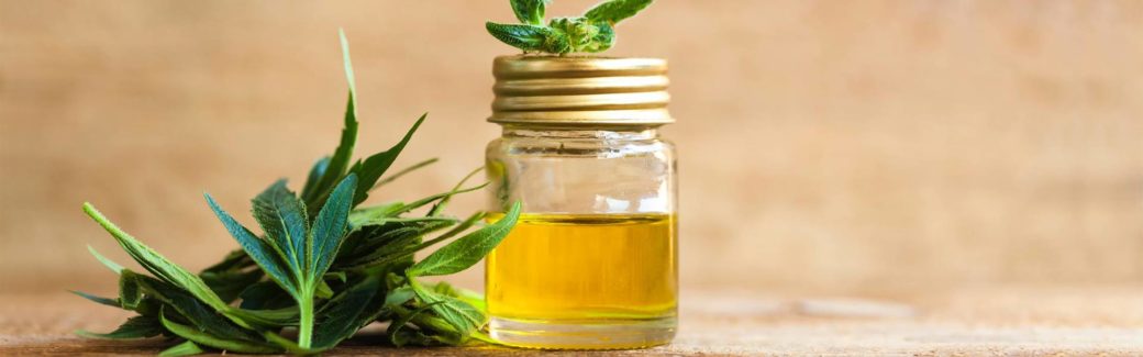 CBD Oils that Will Ease Your Anxiety | Cool Material