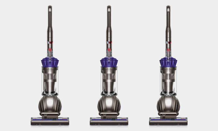 Dyson-Ball-Animal-Upright-Vacuum-steal