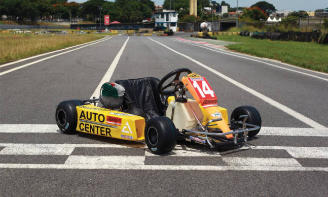 Own a Go-Kart Driven by Ayrton Senna