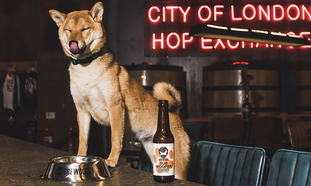 BrewDog-Made-an-IPA-Beer-for-Dogs-2