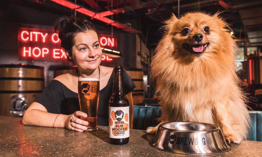 BrewDog-Made-an-IPA-Beer-for-Dogs-3
