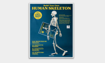 Build-a-Life-Size-Paper-Skeleton-with-Taschens-Latest-Book-1