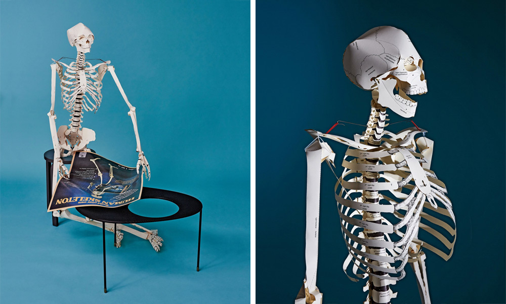 Build-a-Life-Size-Paper-Skeleton-with-Taschens-Latest-Book-2