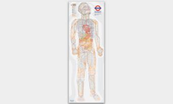 Human-Anatomy-Subway-Map-1
