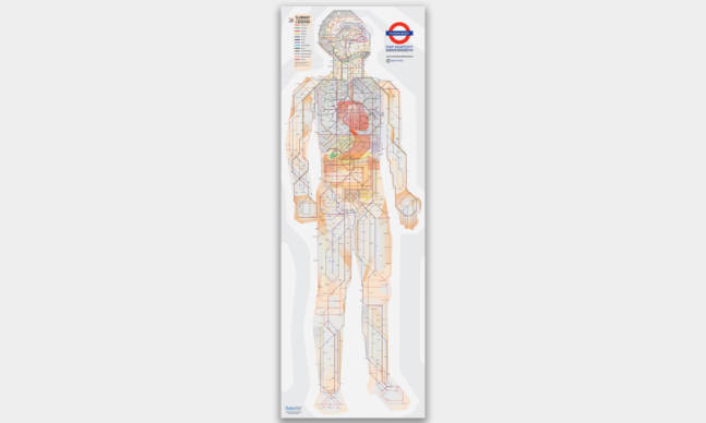 Human Anatomy Subway Map