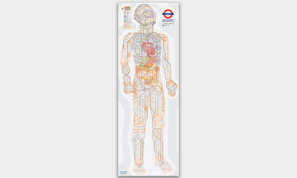 Human Anatomy Subway Map