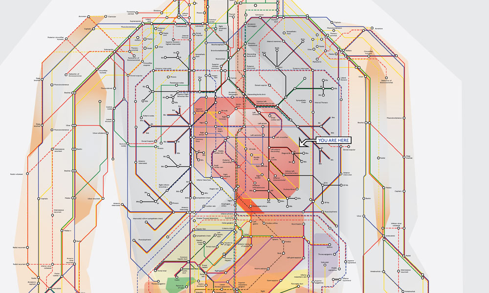 Human-Anatomy-Subway-Map-3
