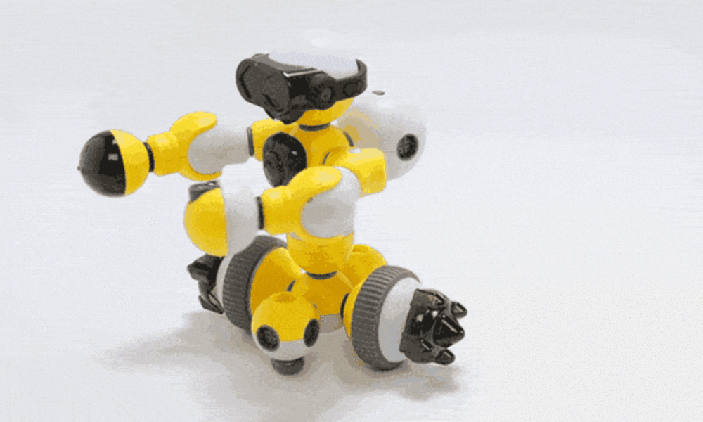 Mabot-Modular-Robots
