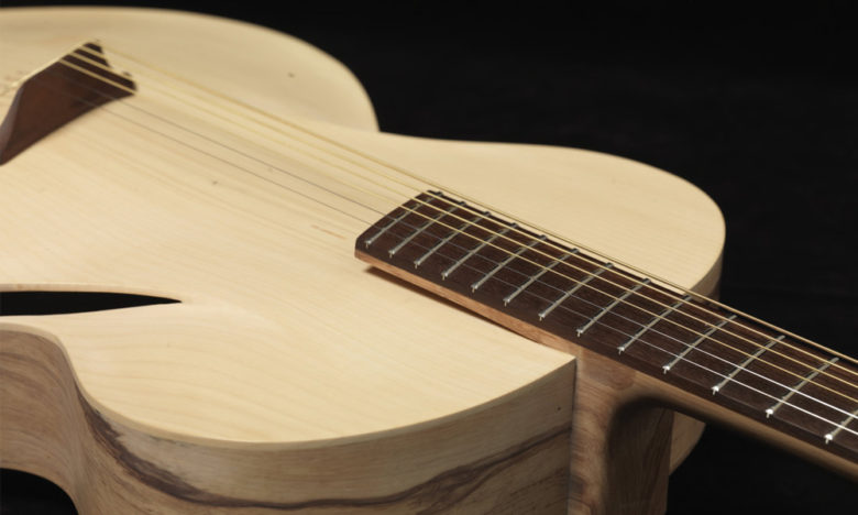 Maxwell Infinitum Acoustic Guitar Cool Material