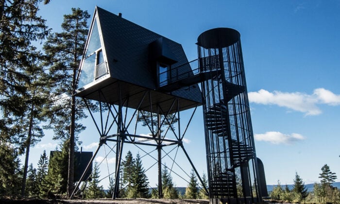 Pan Treetop Cabins