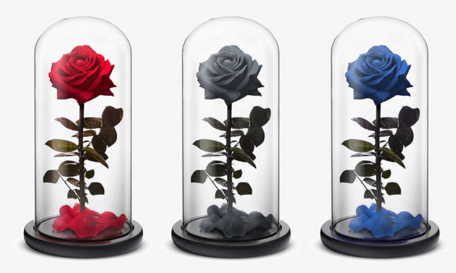 Send a Rose That Will Last up to a Year This Valentine’s Day