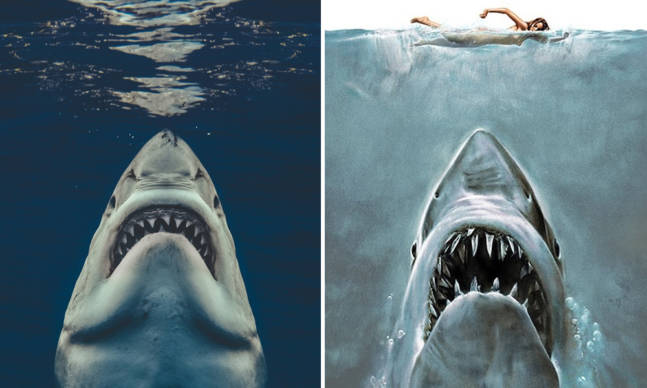 Euan Rannachan Recreated the ‘Jaws’ Poster with a Real Great White Shark