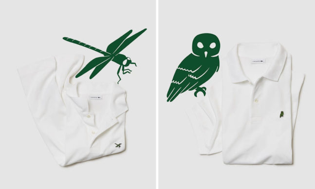 Lacoste “Save Our Species” Polo Shirt Capsule | Cool Material