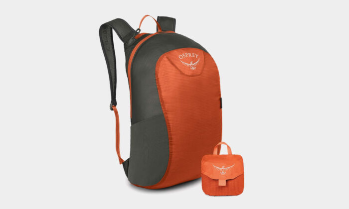 Great-Osprey-Travel-Daypack