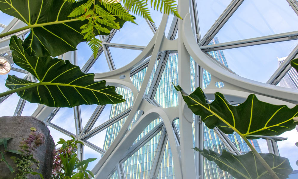 Amazon-Spheres-2