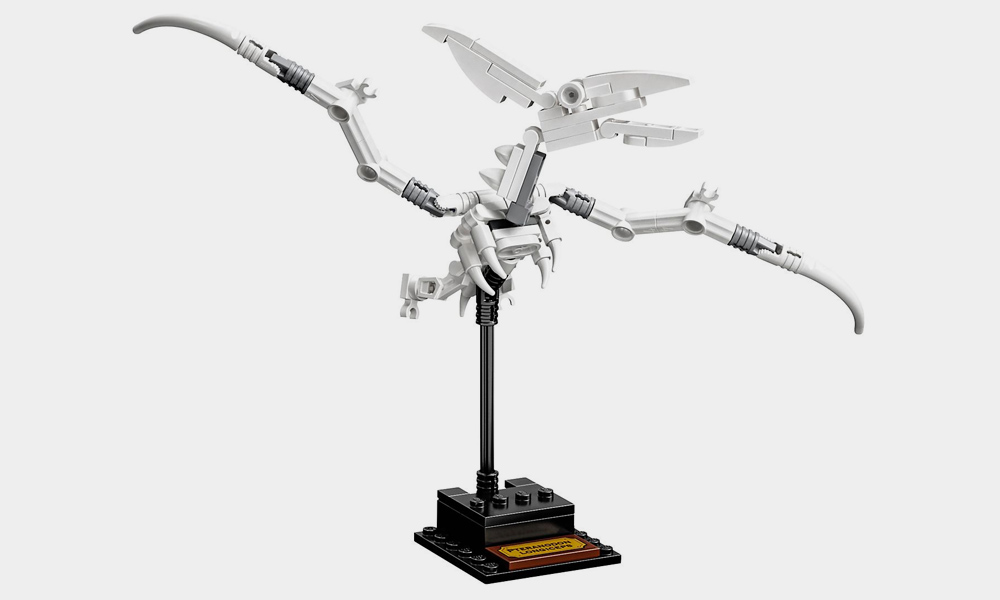 LEGO-Ideas-Three-Different-Dinosaur-Fossils-3